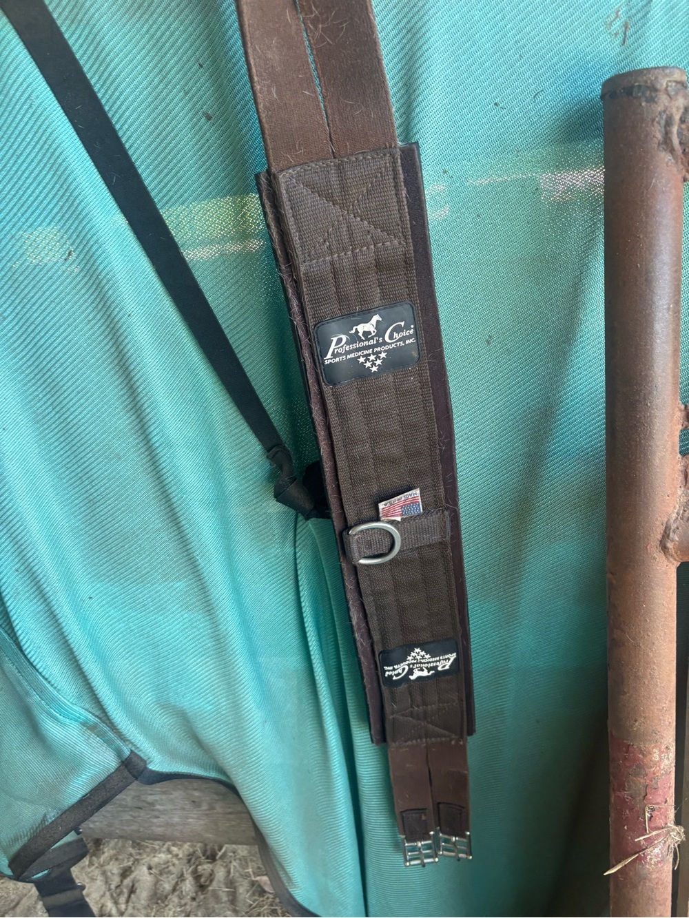 Brown professional choice, jumping girth